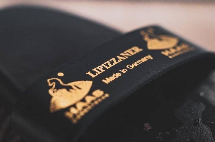 soft brush Lipizzaner for the coat of the horse