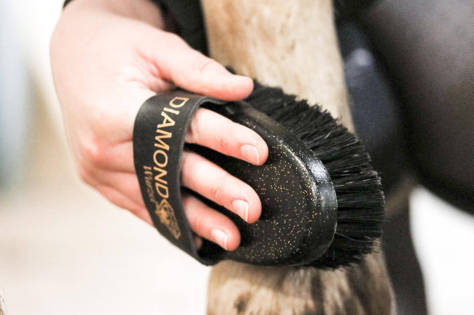 Diamond sturdy brush