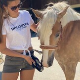 weiche Bürste Pinto aus tierisch Material hergestellt