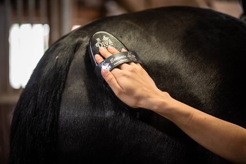 lamsvelborstel Diva Exclusive voor de vacht van het paard