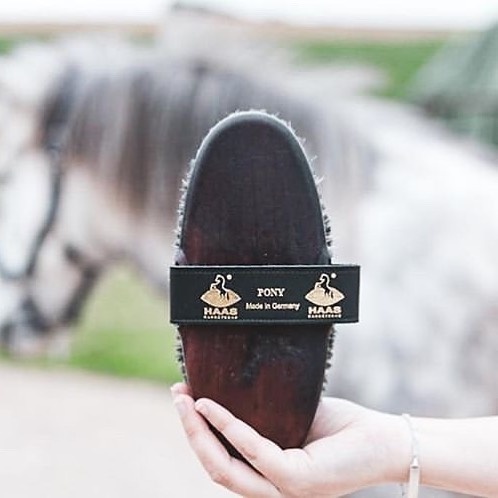Haas medium-hard brush 'Pony' made from animal material
