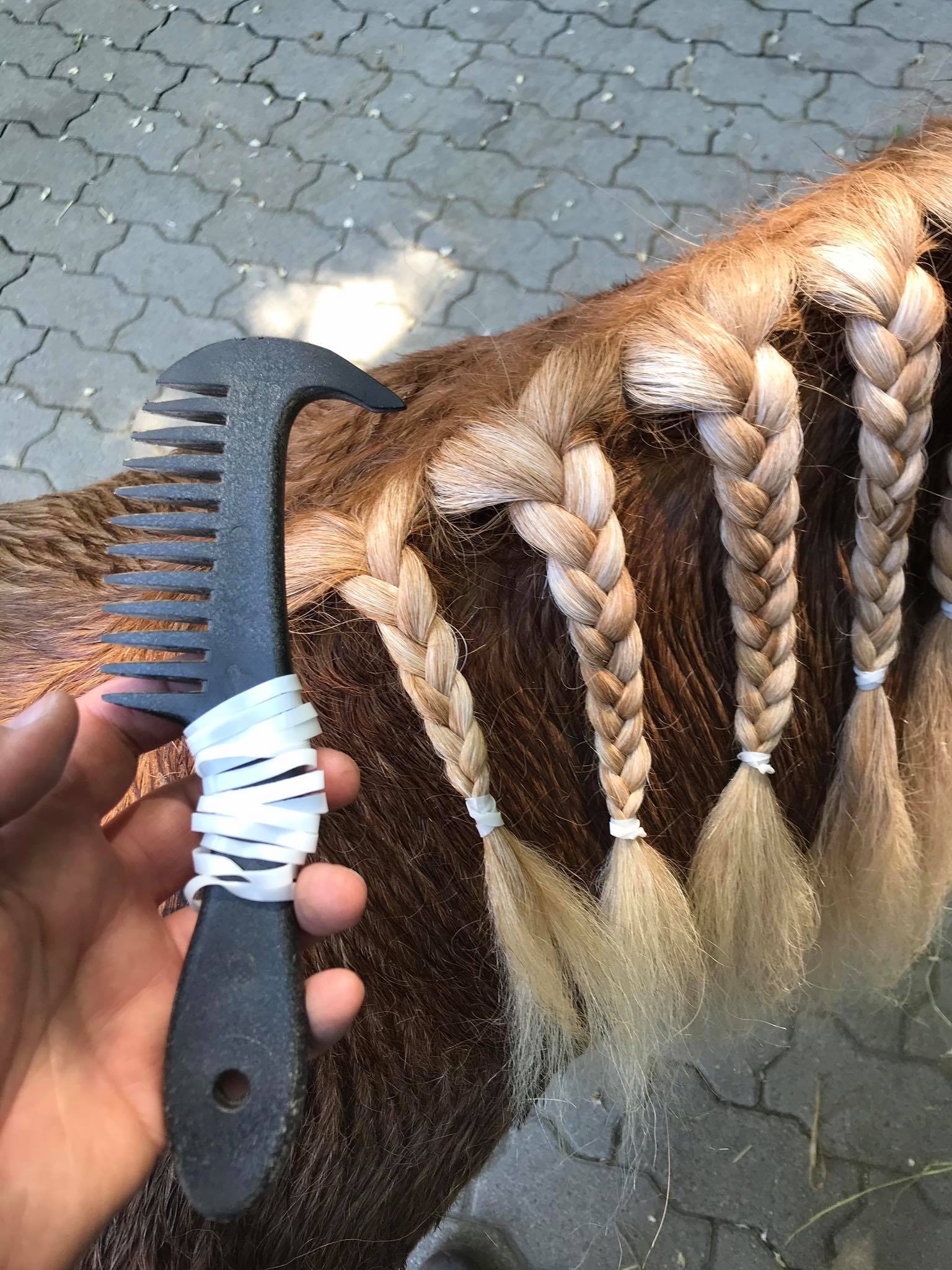 Mähnenkamm mit Hufkratzer