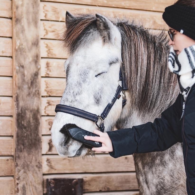 Grooming brush Noir made with horsehair