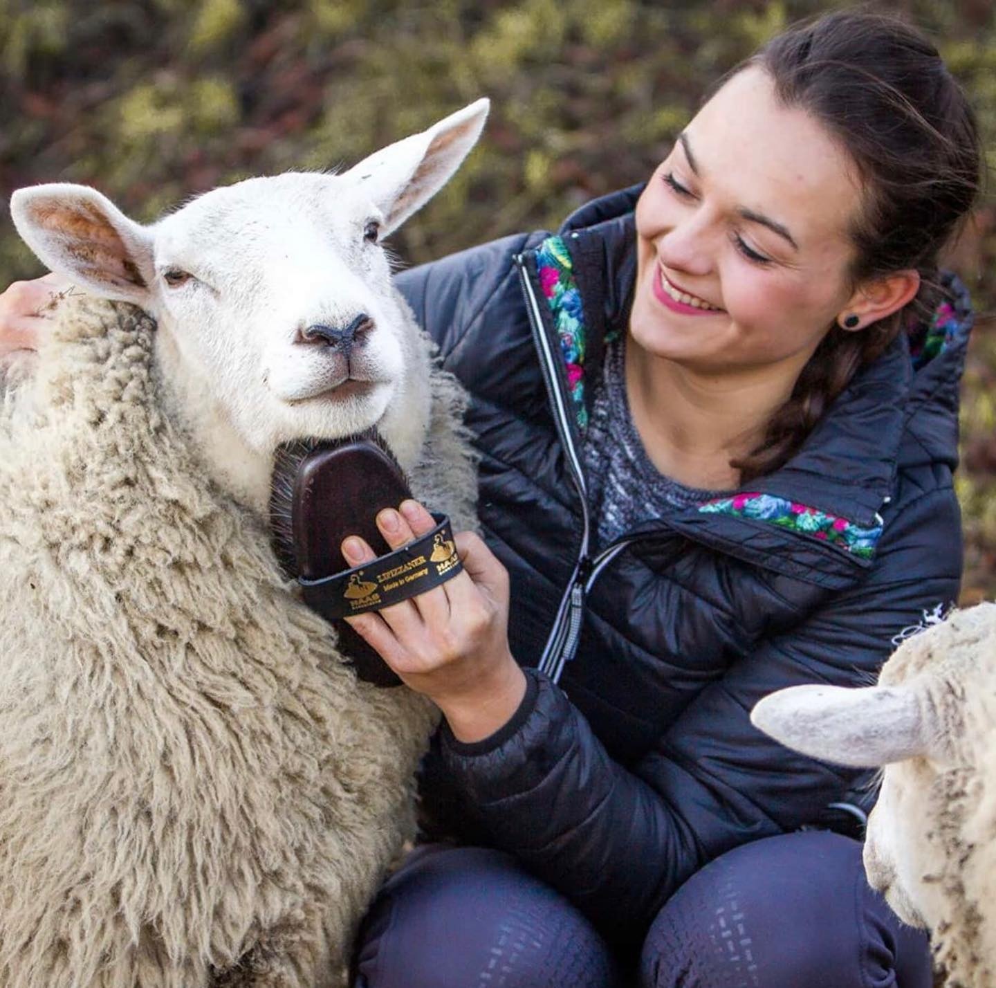 weiche Bürste Lipizzaner für den Fell des Pferd
