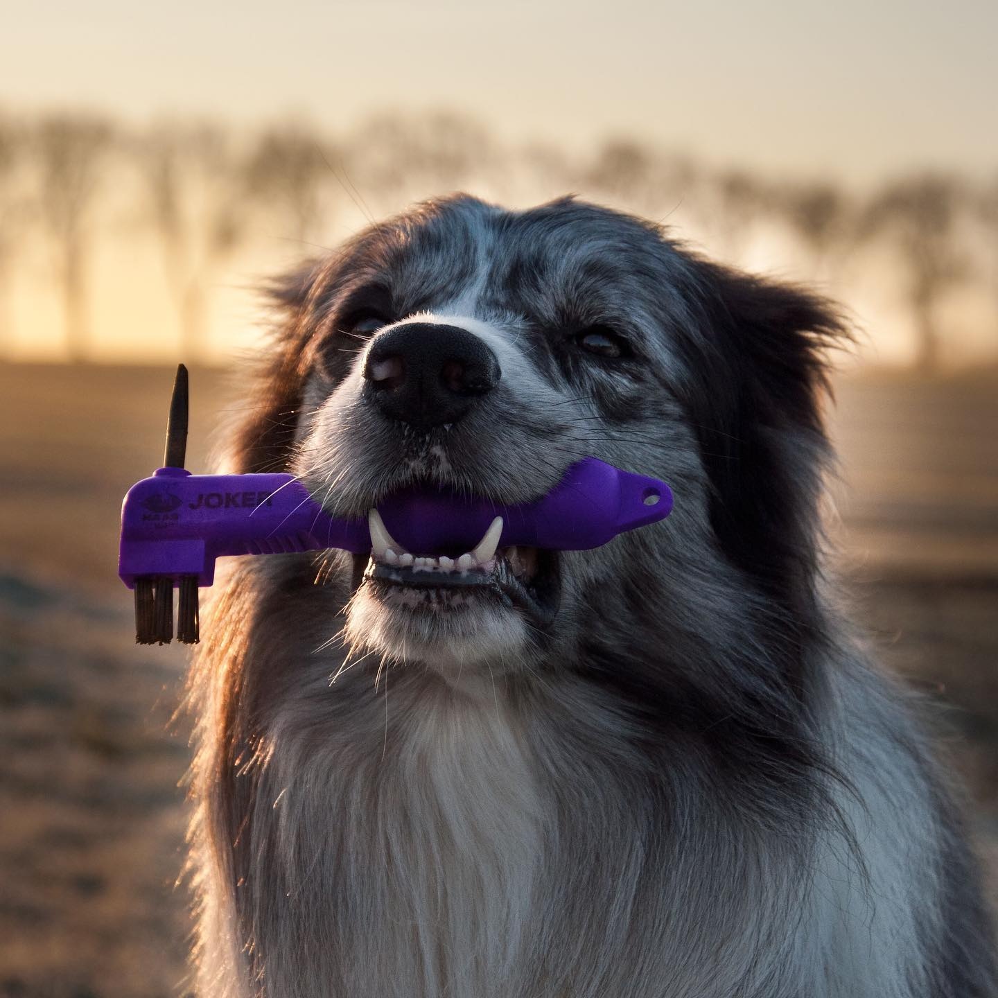 hoof pick Joker made from synthetic material