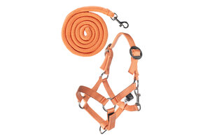 Hobby horse basic halster met halstertouw