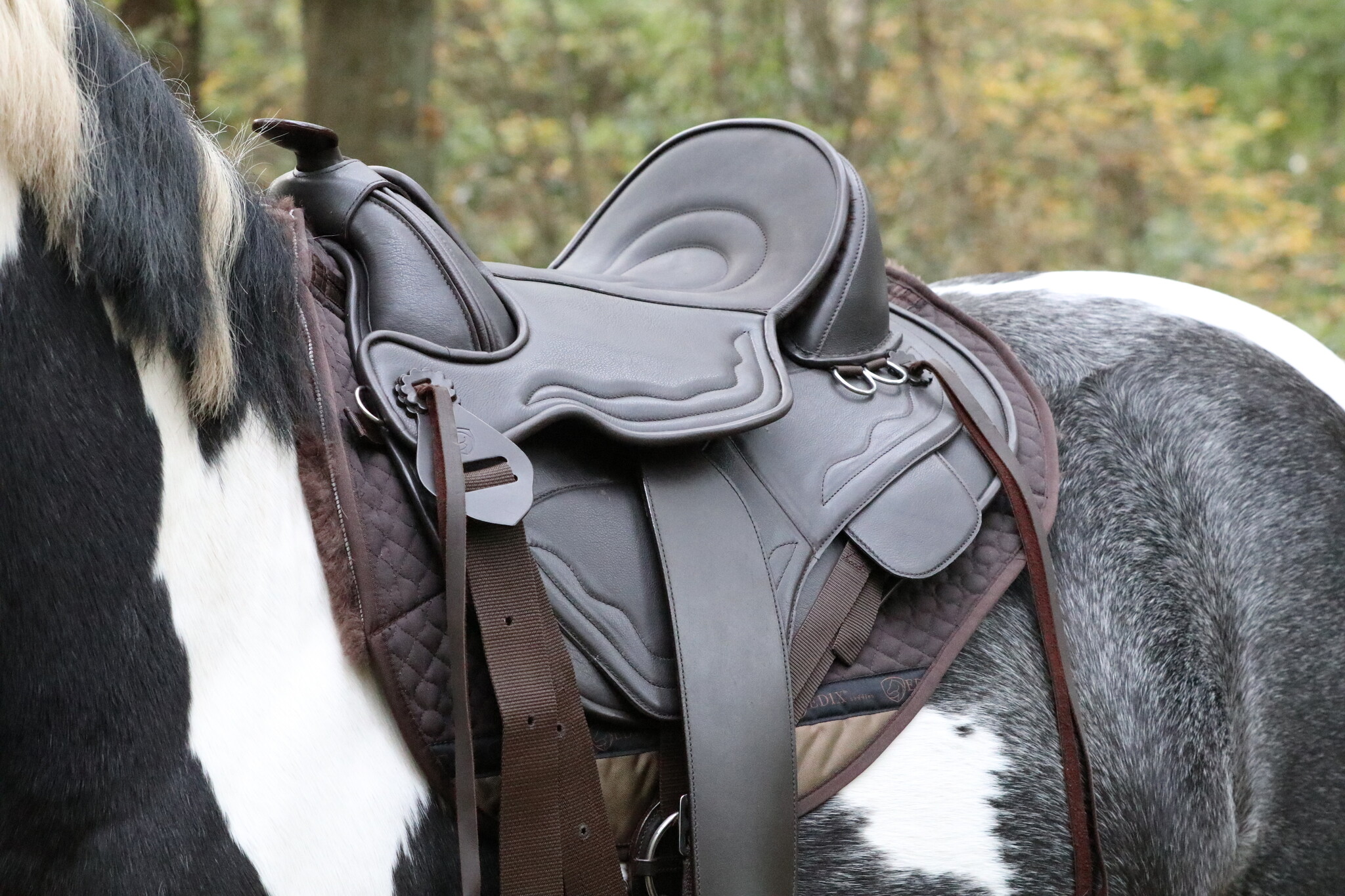 Tiamo boomlooszadel leer