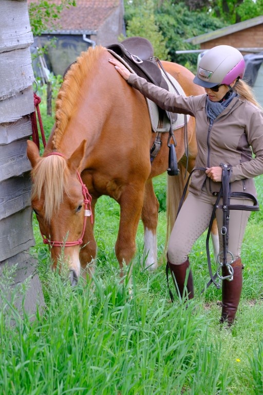 Campari trail combi bridle
