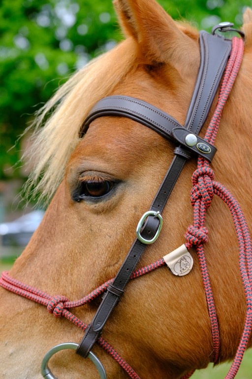 Campari trail combi hoofdstel