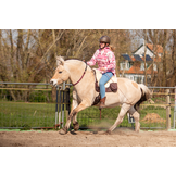 bareback pad Signor anatomical