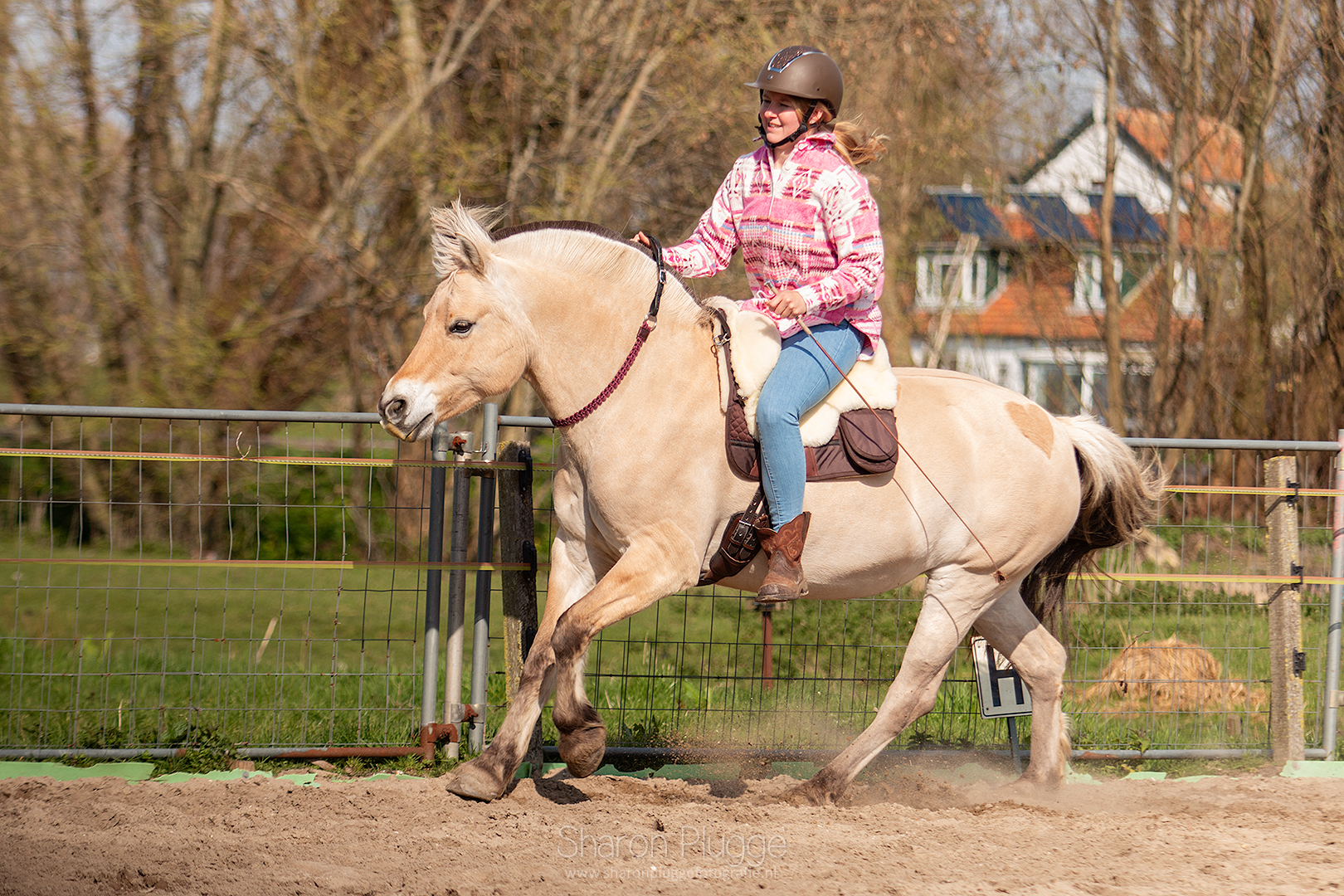 Bareback-Pad Signor anatomisch
