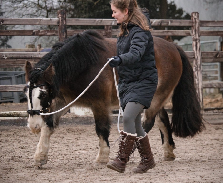 Kappzaum PRO ED-5 mit Anatomisches Kopfstück