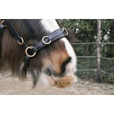 Kaptoom Pro ED-5 met anatomische kopstuk