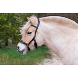 Kaptoom Pro ED-5 met anatomische kopstuk