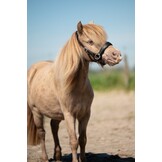 Grace ED2 sidepull bitless bridle