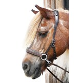 Grace ED2 sidepull bitless bridle