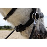 Grace ED2 sidepull bitless bridle
