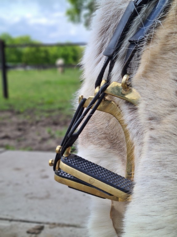 Twisted safety bars RVS