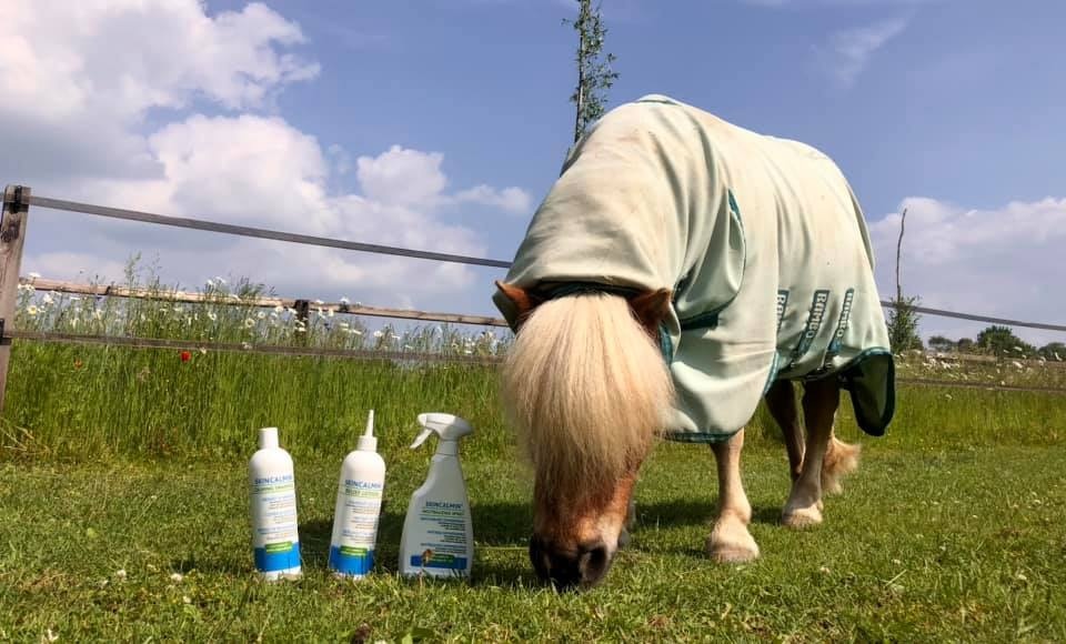 Value set with the Neutralizing Spray, Relief Lotion and Healing Shampoo