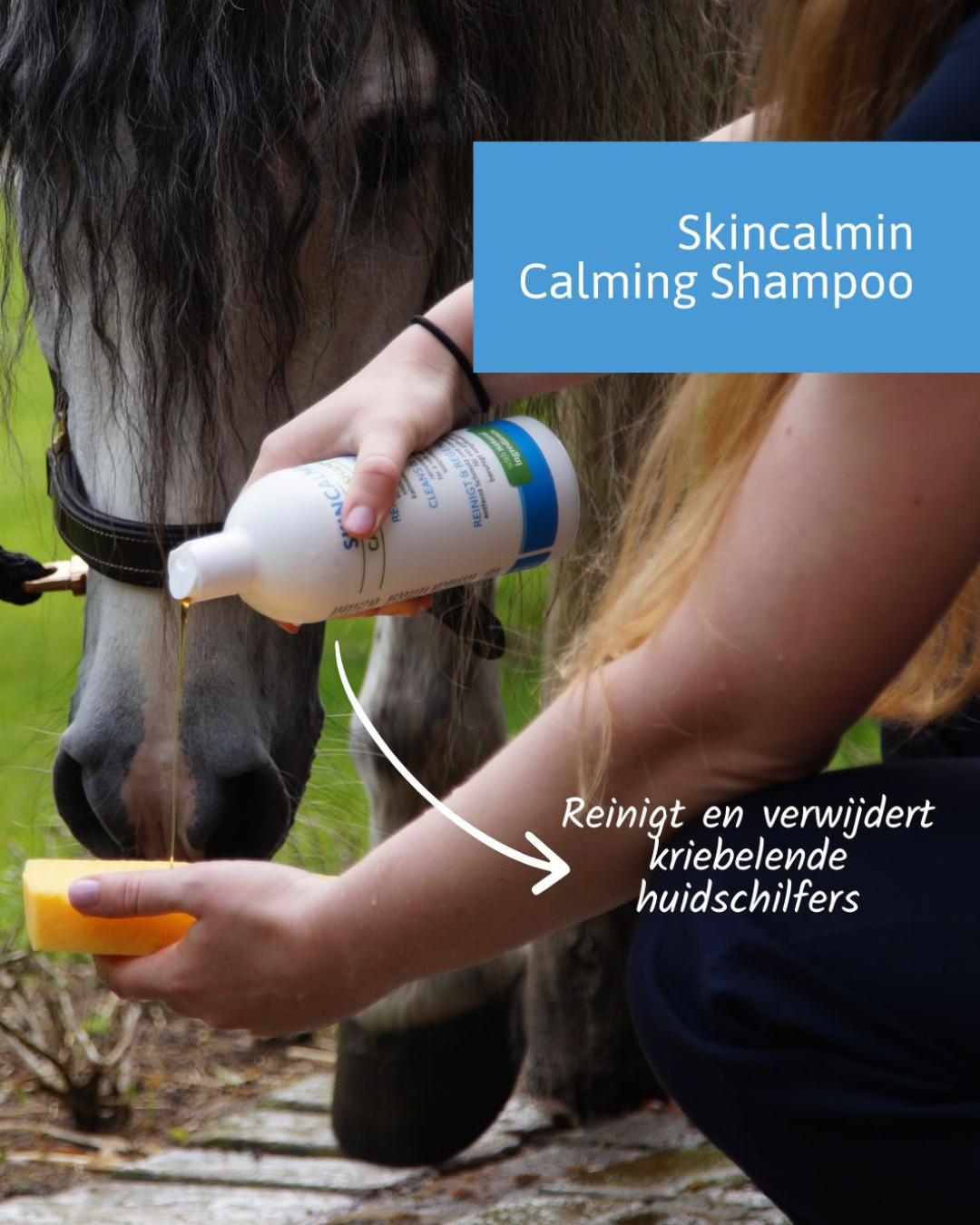 Calming Shampoo 500 ml