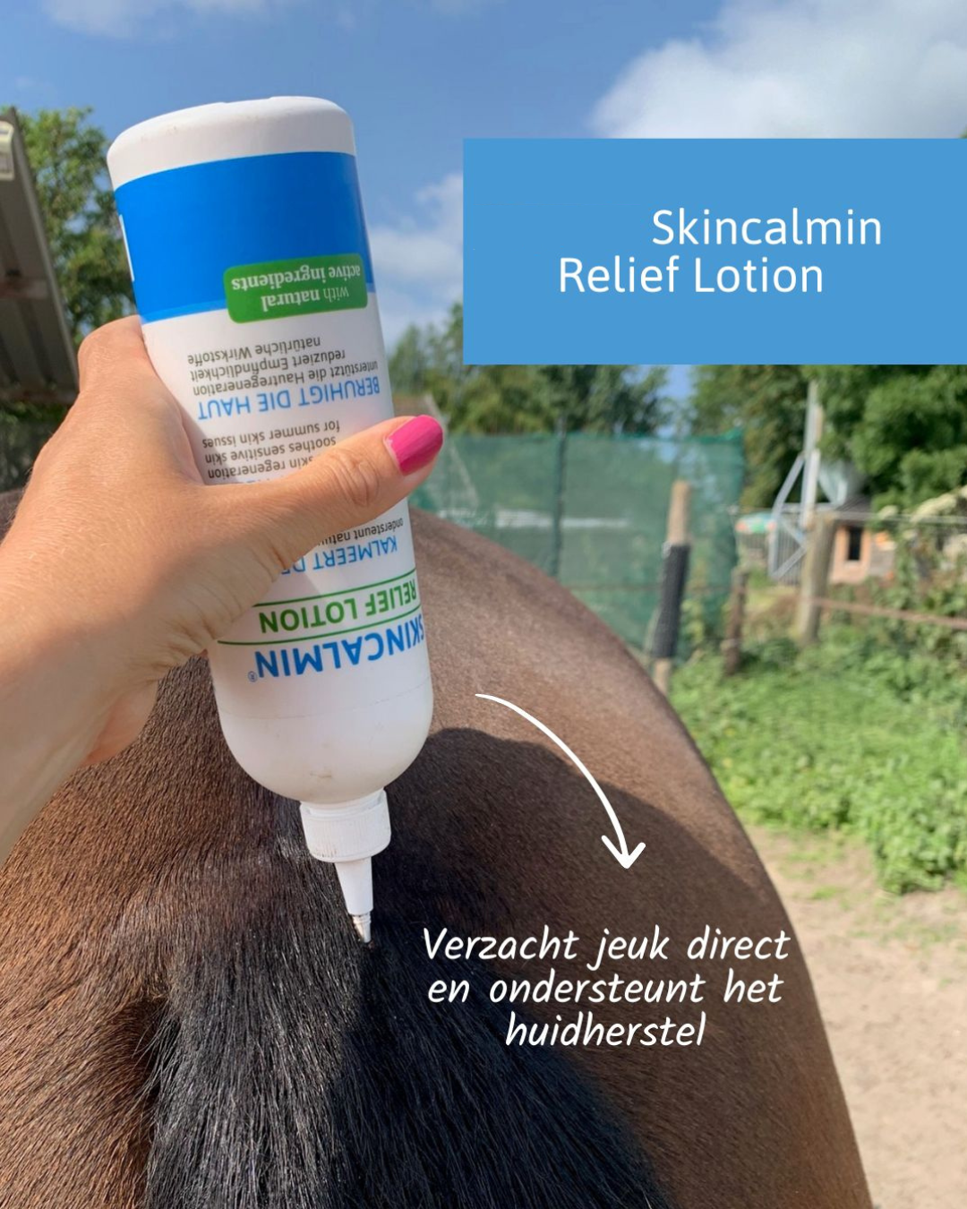 Relief Lotion  kalmeert direct