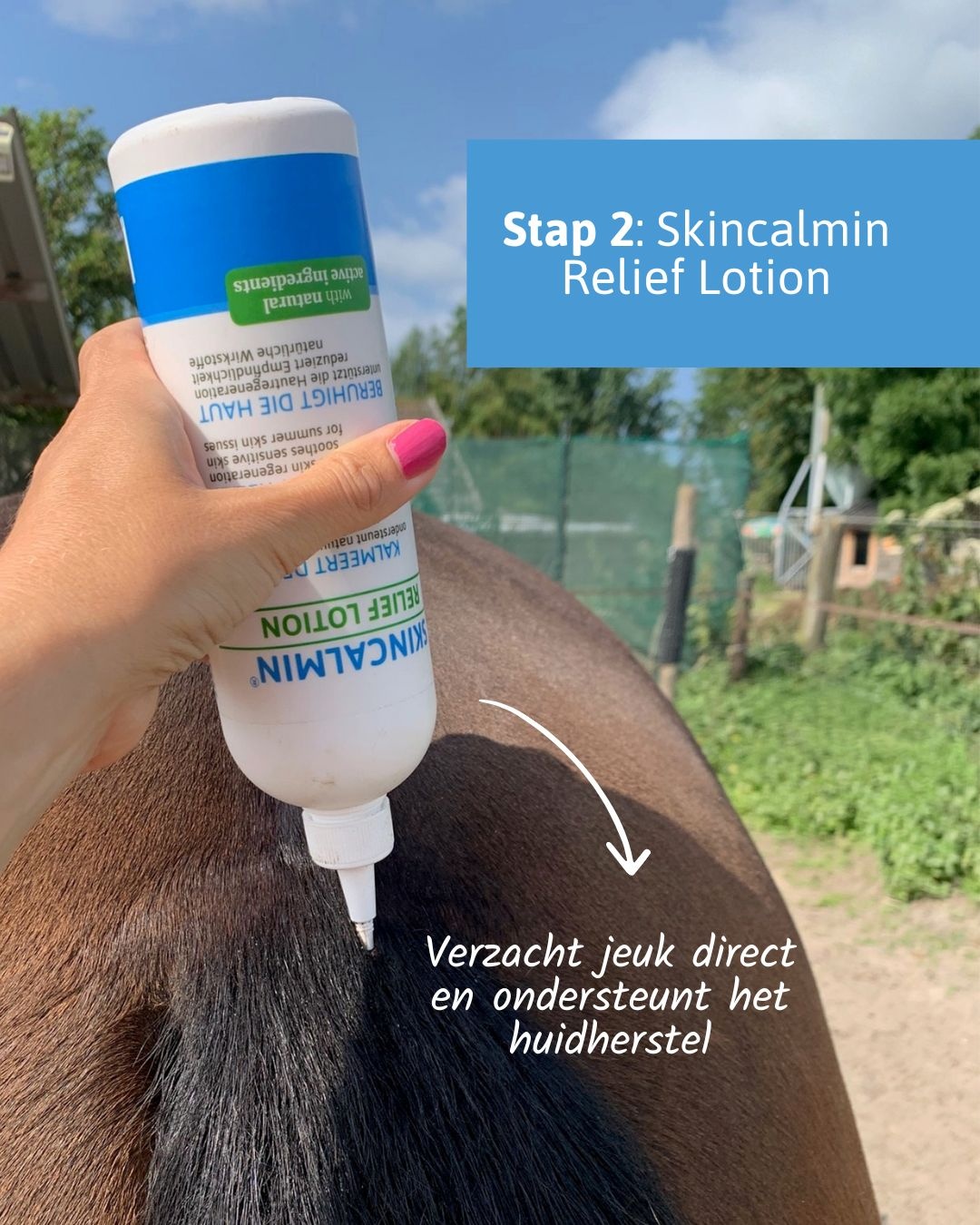 Vorteilsset mit dem Neutralizing Spray, der Relief Lotion und dem Healing Shampoo