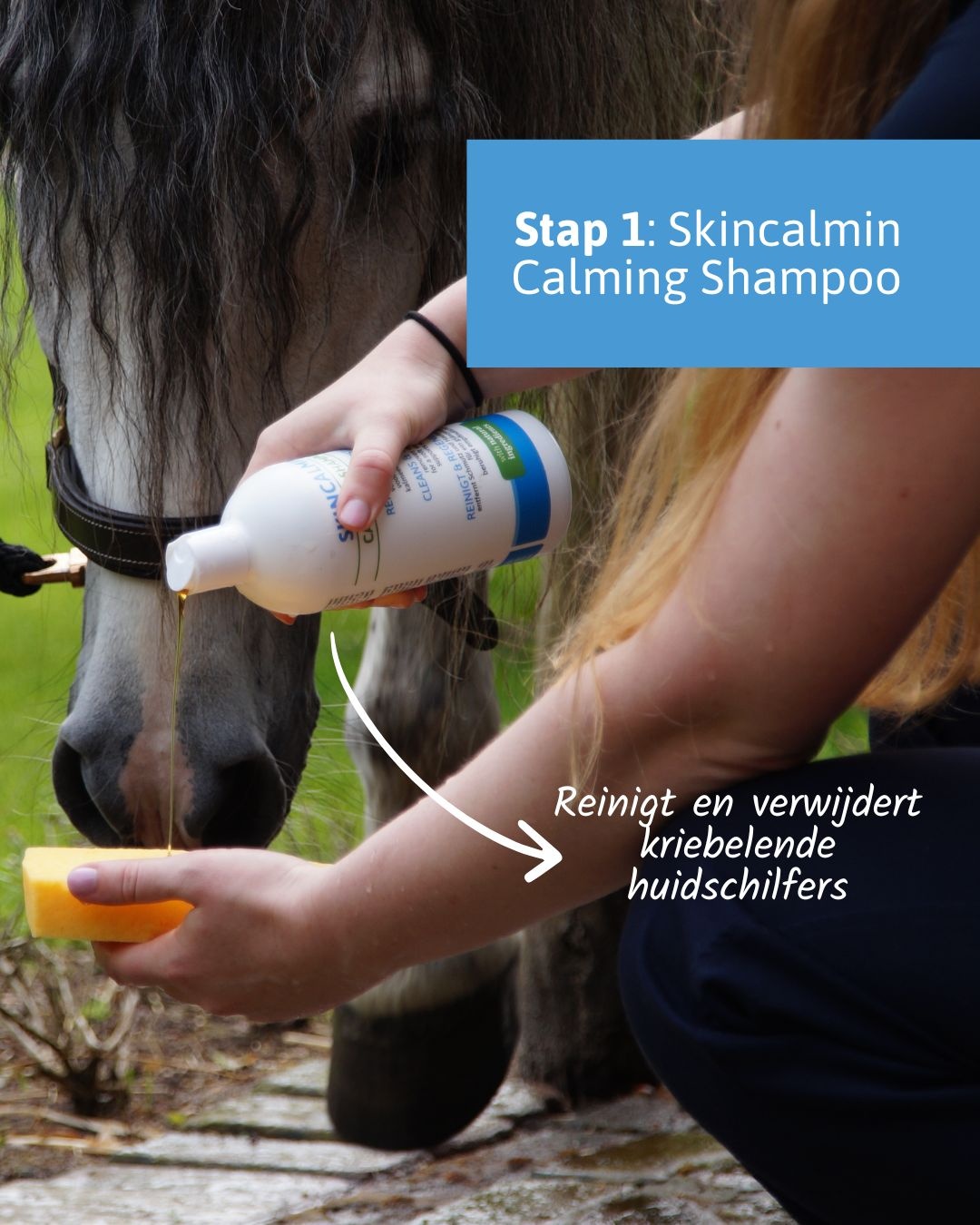 Voordeelset met de Neutralizing spray, Relief lotion en Healing shampoo