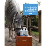 Value set with the Neutralizing Spray, Relief Lotion and Healing Shampoo