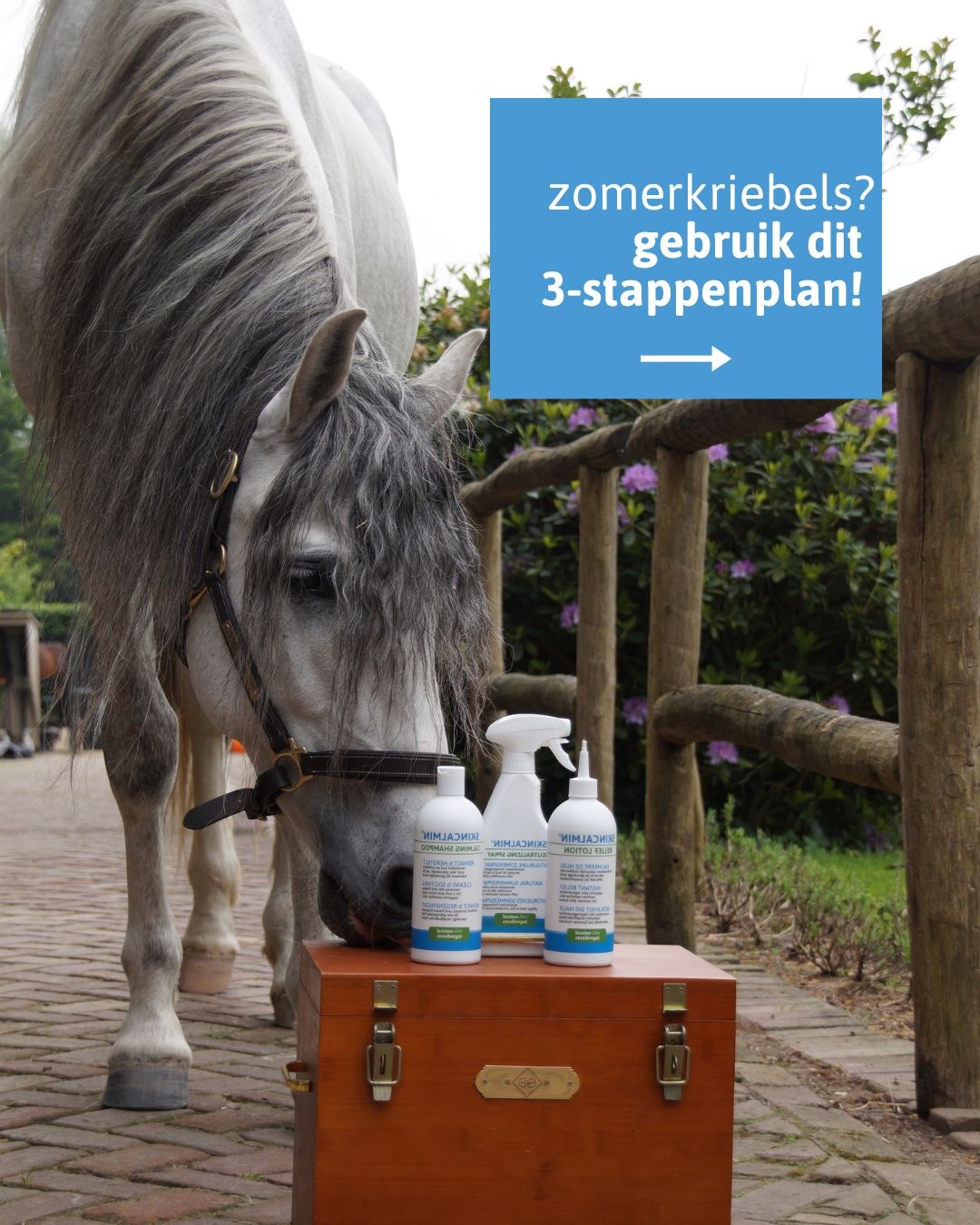 Voordeelset met de Neutralizing spray, Relief lotion en Healing shampoo
