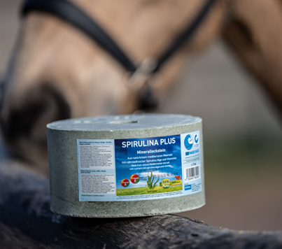 Leckstein Spirulina Plus 3kg Vorteilspack 4 Stück