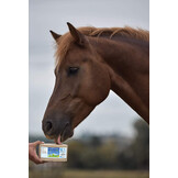 Lick MultiVitaminBronchial horse 3kg value pack 4 pieces