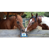 Lick MultiVitaminBronchial horse 3kg value pack 4 pieces