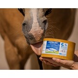zink liksteen Zincoblock 3 kg paard voordeelpakket 4 stuks