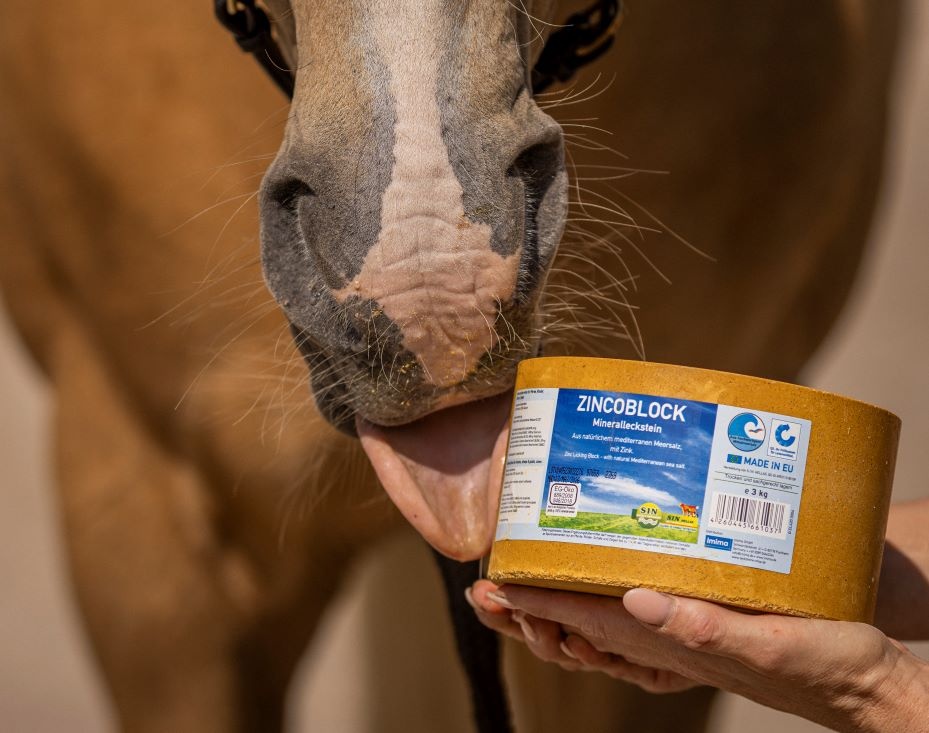 zink  lick Zincoblock 3kg horse value pack 4 pieces