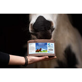 Liksteen Probiotica -Hi-Yeast for horses 3kg voordeelpakket 4 stuks