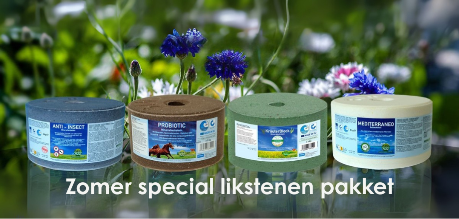 Sommer-Leckstein-Paket fur Pferden 4 Stuck