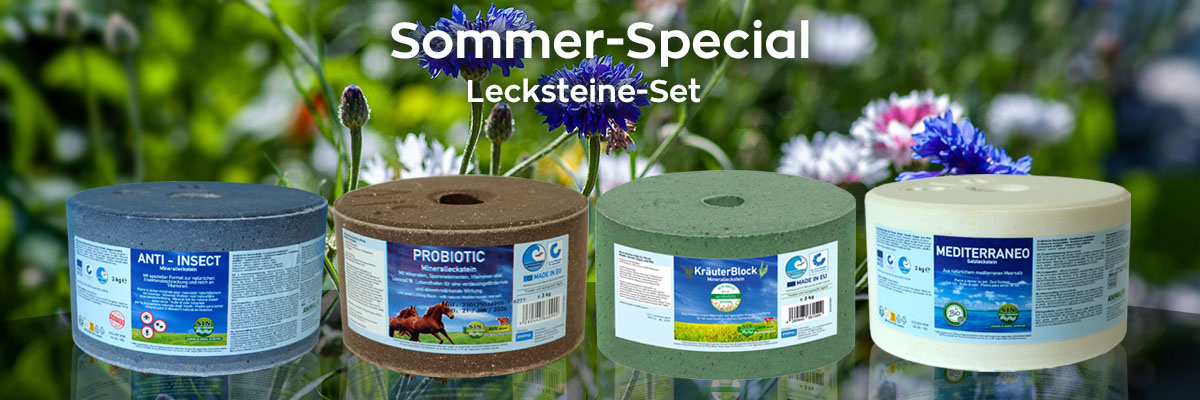 Sommer-Leckstein-Paket fur Pferden 4 Stuck
