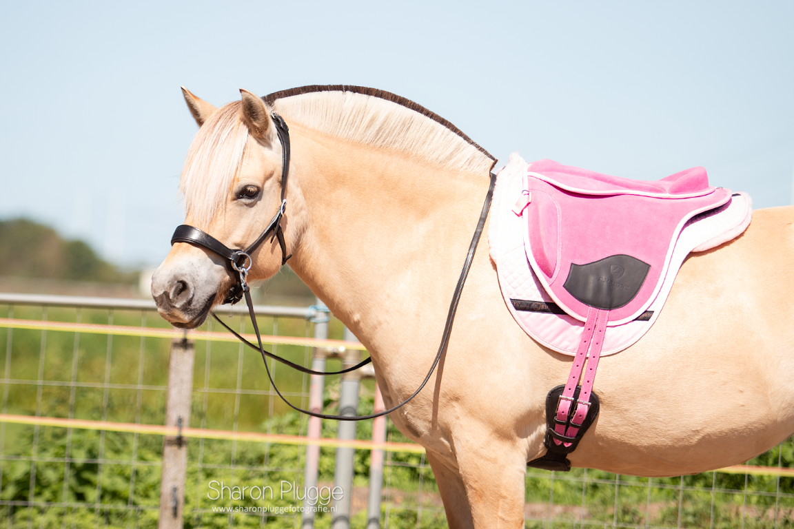 Amazon Bareback Pad wildleder