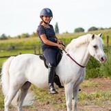 Amazone barebackpad suède