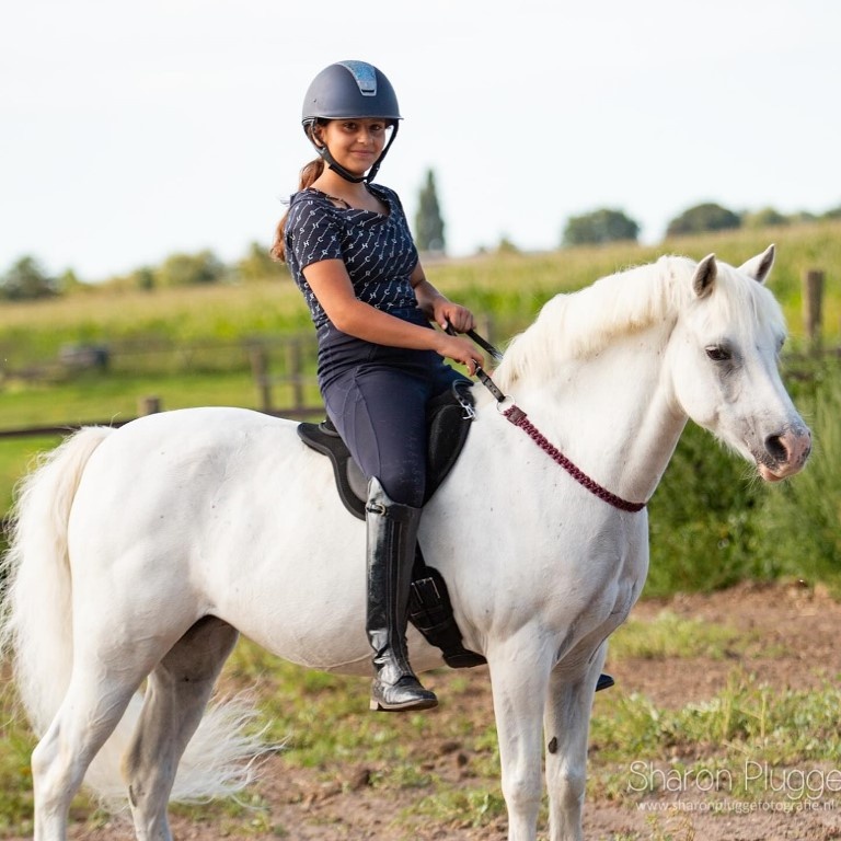 Amazon Bareback Pad wildleder