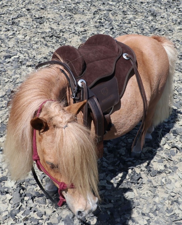 Broncho Bareback Pad wildleder