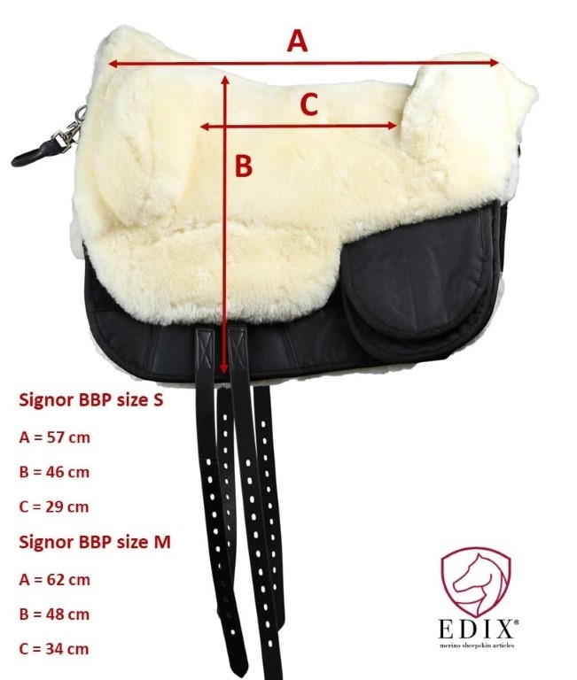 Bareback-Pad Signor anatomisch