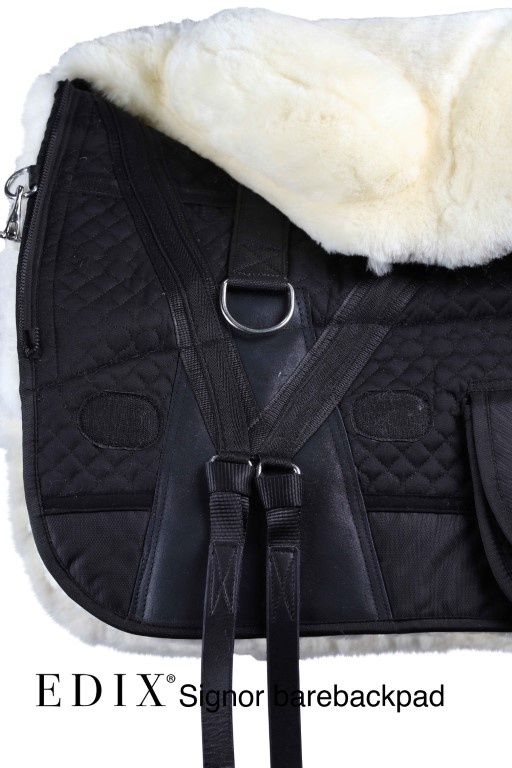 barebackpad Signor anatomisch