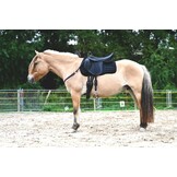 Emir GP saddle soft tree