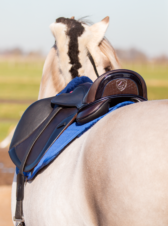 Emir GP saddle soft tree