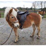 Vika treeless saddle vegan