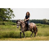 Vika treeless saddle vegan