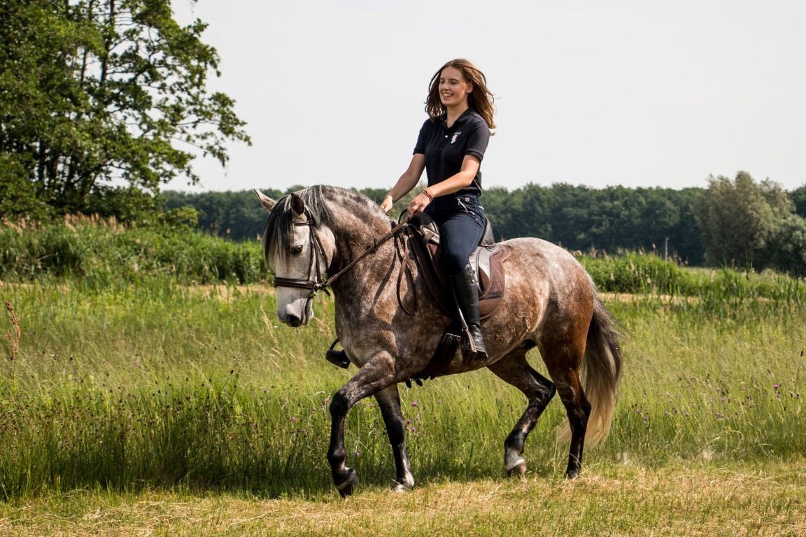 Vika treeless saddle vegan
