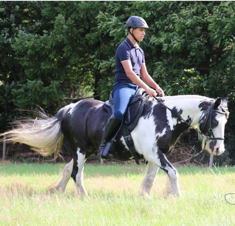 Vika treeless saddle vegan