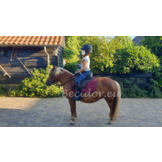 Vika XS boomlooszadel pony